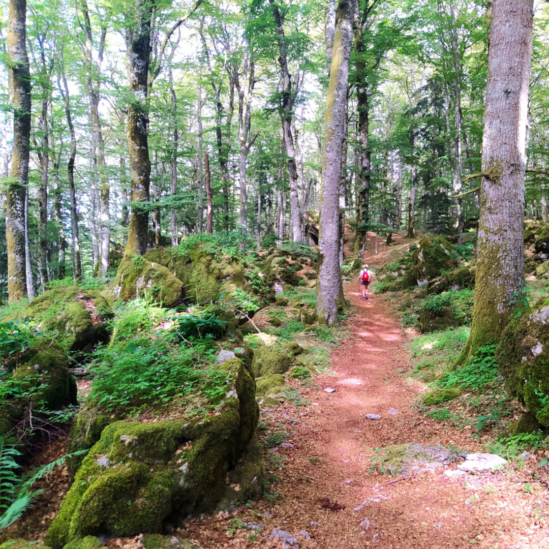 MONTE VERNA: L’ANELLO BASSO, UN TREKKING DA FIABA