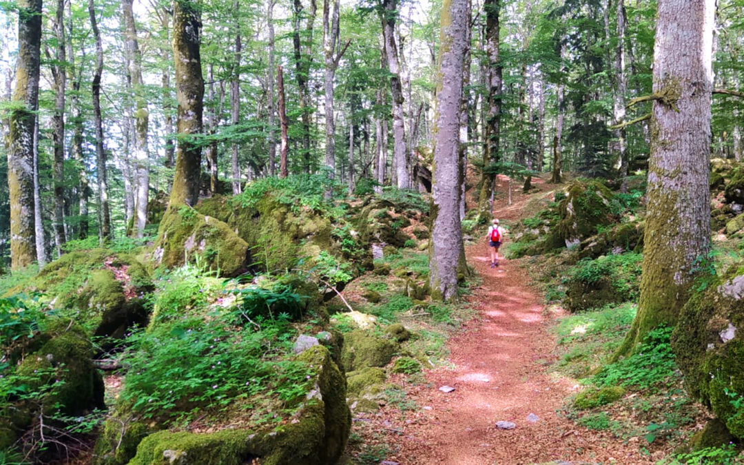 MONTE VERNA: L’ANELLO BASSO, UN TREKKING DA FIABA